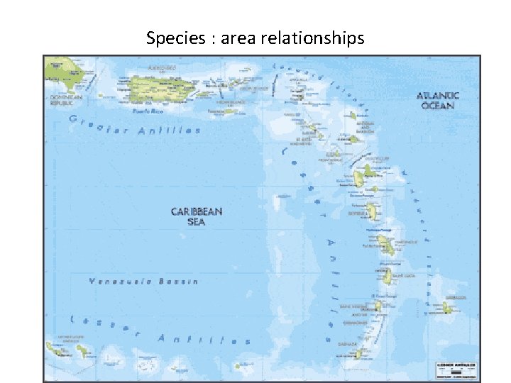 Species : area relationships 