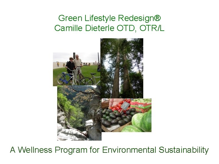 Green Lifestyle Redesign® Camille Dieterle OTD, OTR/L A Wellness Program for Environmental Sustainability 