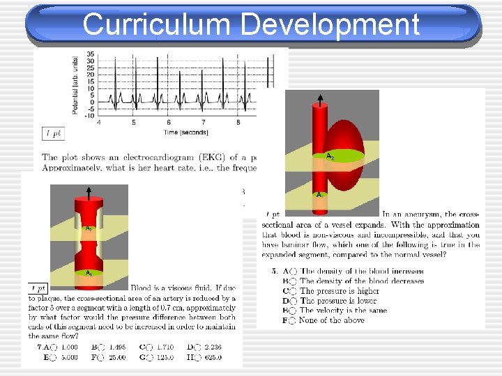 Curriculum Development 