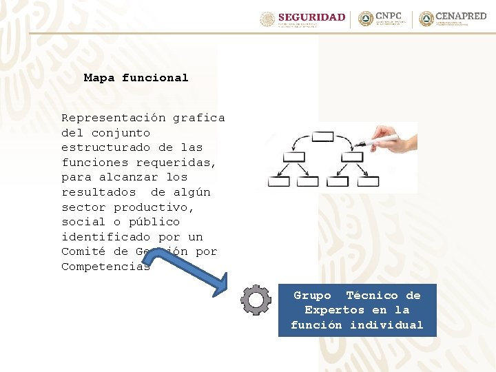 Mapa funcional Representación grafica del conjunto estructurado de las funciones requeridas, para alcanzar los