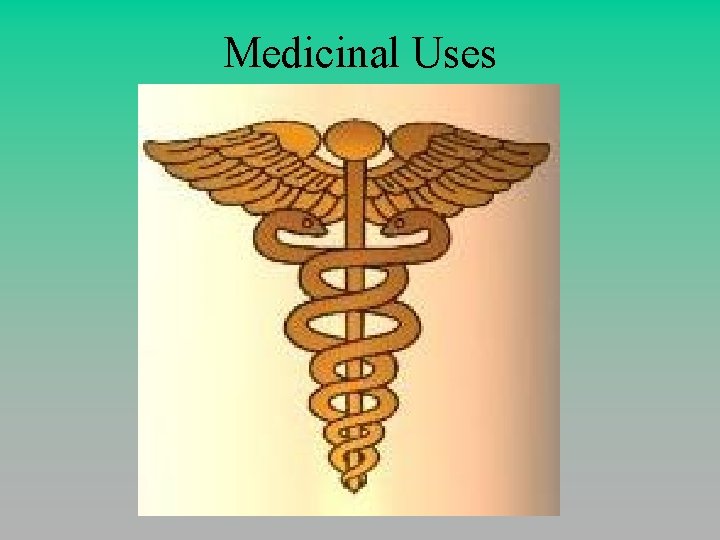 Medicinal Uses 
