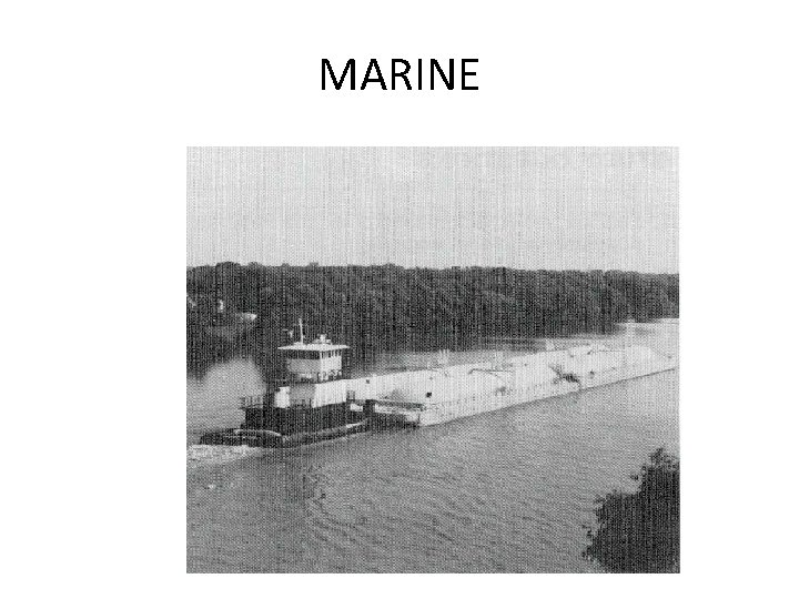 MARINE 