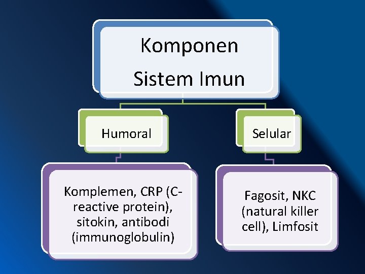 Komponen Sistem Imun Humoral Komplemen, CRP (Creactive protein), sitokin, antibodi (immunoglobulin) Selular Fagosit, NKC