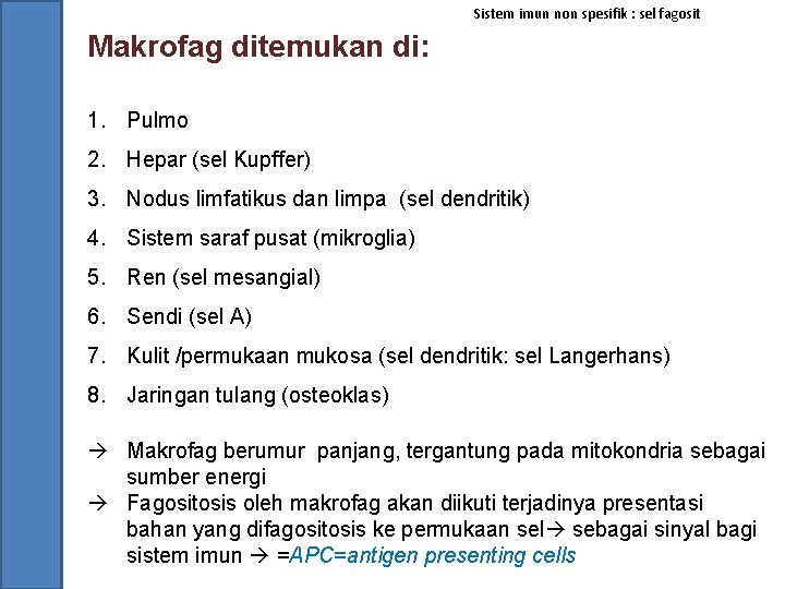 Sistem imun non spesifik : sel fagosit Makrofag ditemukan di: 1. Pulmo 2. Hepar