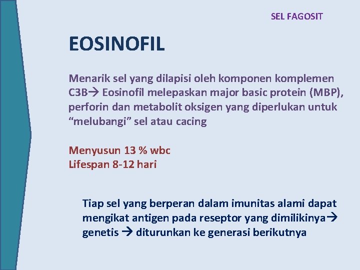 SEL FAGOSIT EOSINOFIL Menarik sel yang dilapisi oleh komponen komplemen C 3 B Eosinofil