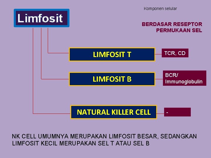 Komponen selular Limfosit BERDASAR RESEPTOR PERMUKAAN SEL LIMFOSIT T TCR, CD LIMFOSIT B BCR/