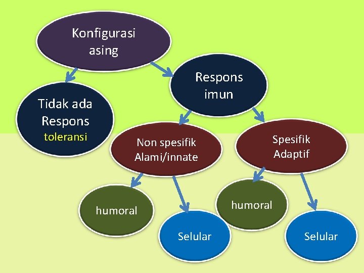 Konfigurasi asing Respons imun Tidak ada Respons toleransi Spesifik Adaptif Non spesifik Alami/innate humoral