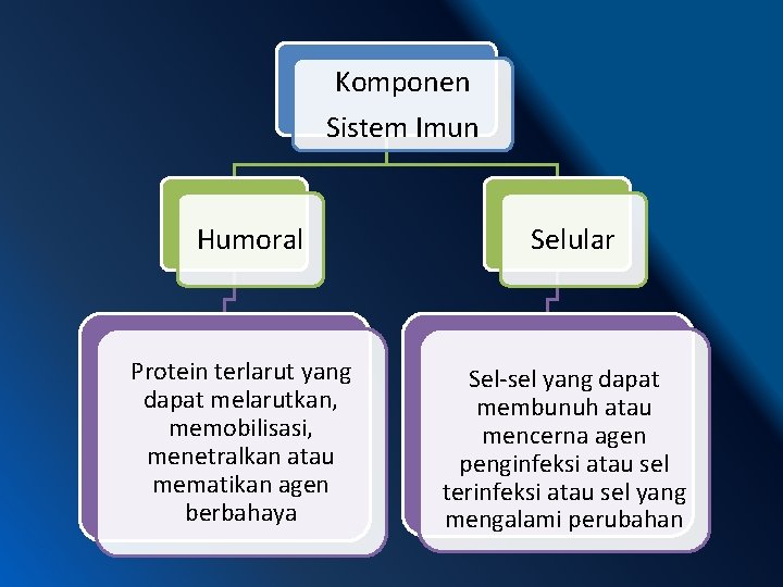 Komponen Sistem Imun Humoral Protein terlarut yang dapat melarutkan, memobilisasi, menetralkan atau mematikan agen