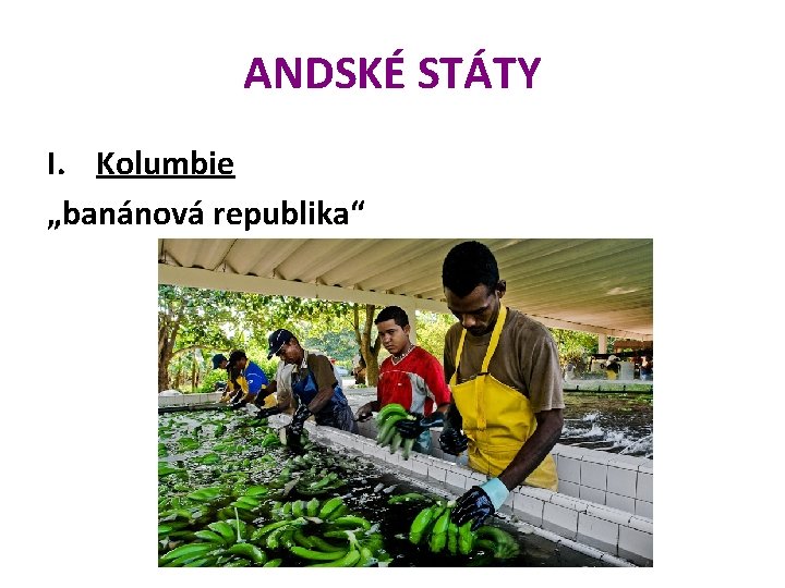 ANDSKÉ STÁTY I. Kolumbie „banánová republika“ 