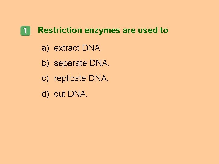 Restriction enzymes are used to a) extract DNA. b) separate DNA. c) replicate DNA.