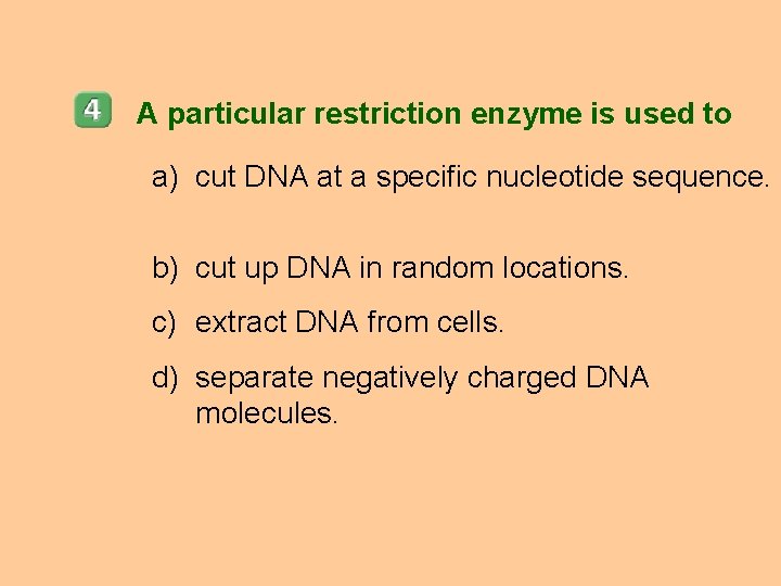 A particular restriction enzyme is used to a) cut DNA at a specific nucleotide