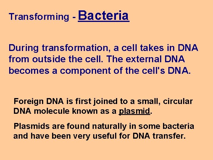 Transforming - Bacteria During transformation, a cell takes in DNA from outside the cell.