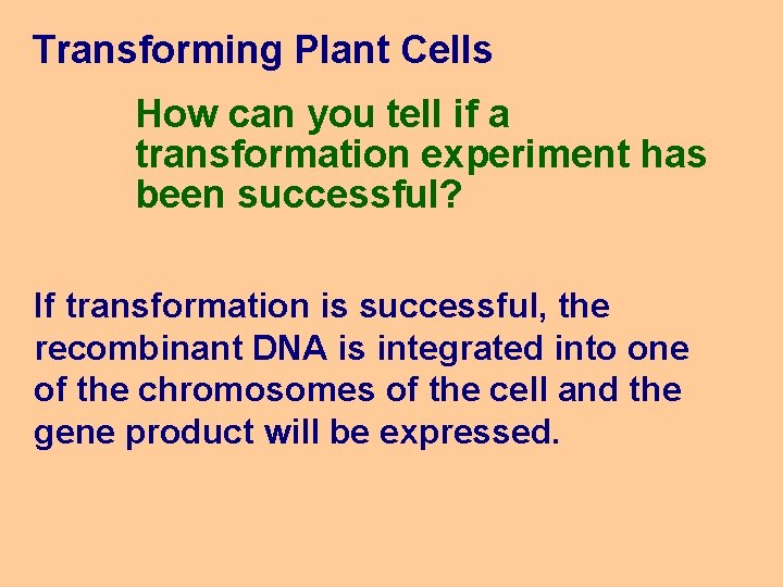 Transforming Plant Cells How can you tell if a transformation experiment has been successful?