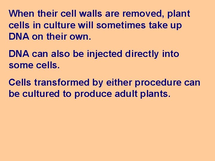 When their cell walls are removed, plant cells in culture will sometimes take up