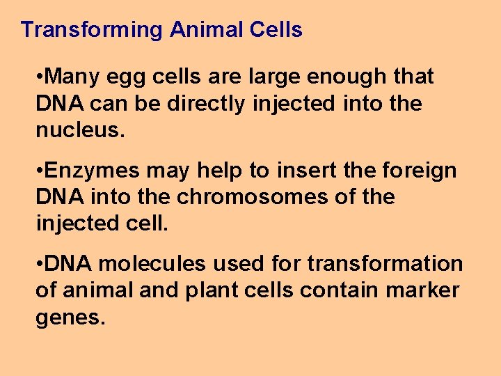 Transforming Animal Cells • Many egg cells are large enough that DNA can be