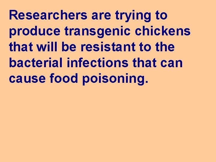 Researchers are trying to produce transgenic chickens that will be resistant to the bacterial