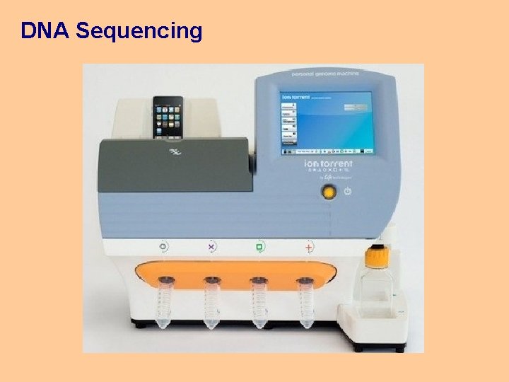 DNA Sequencing 