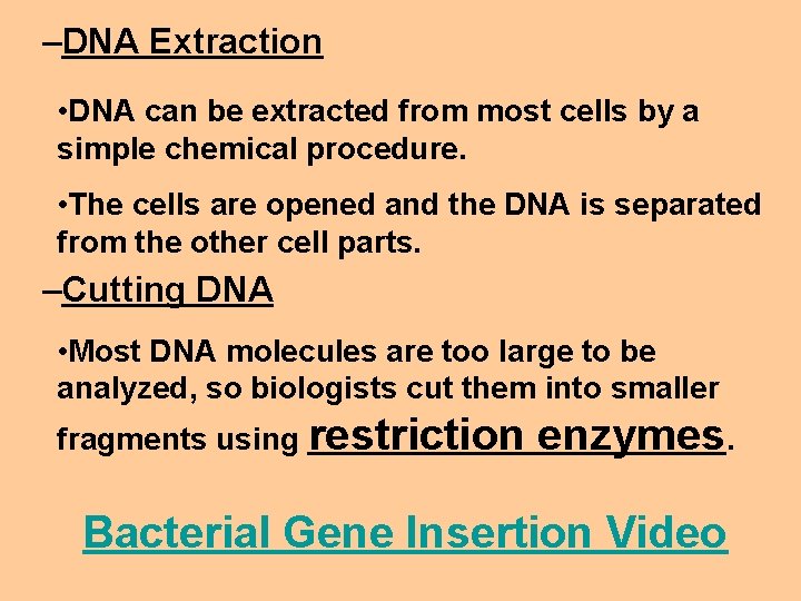 –DNA Extraction • DNA can be extracted from most cells by a simple chemical