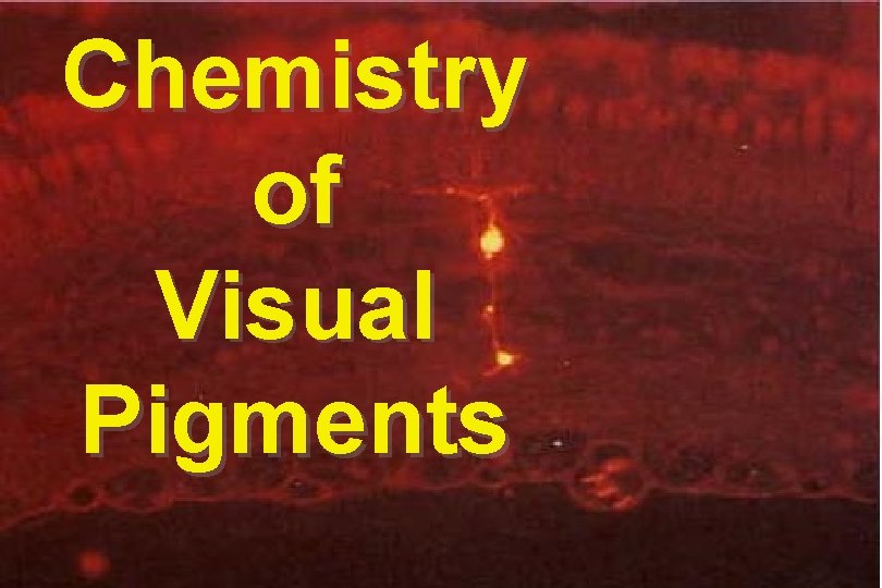 Chemistry of Visual Pigments 