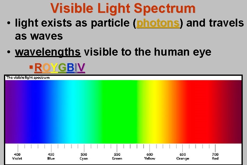 Visible Light Spectrum • light exists as particle (photons) photons and travels as waves