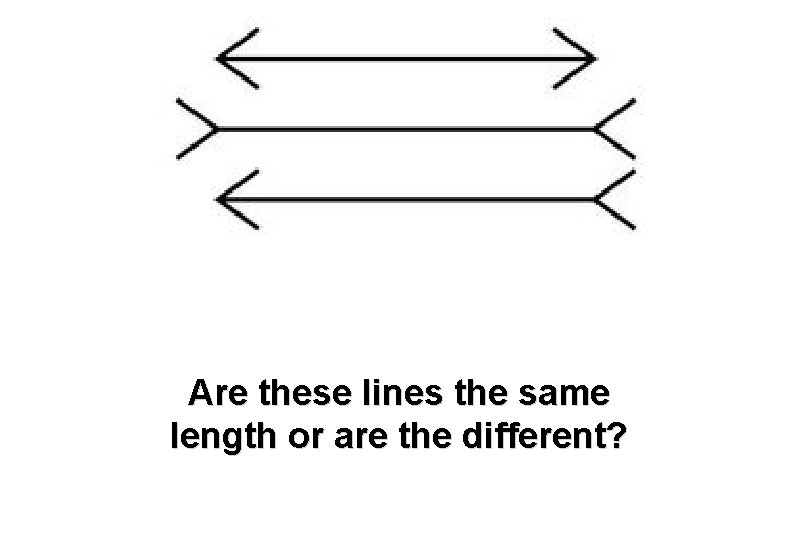 Are these lines the same length or are the different? 