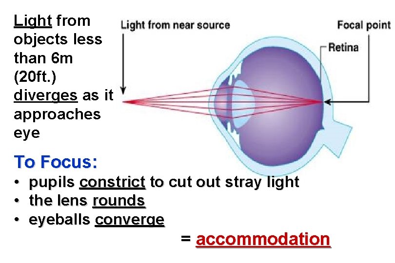 Light from objects less than 6 m (20 ft. ) diverges as it approaches