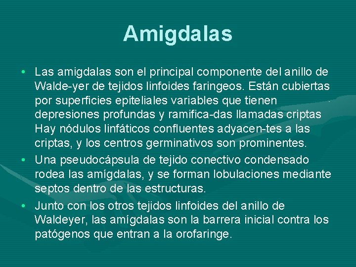 Amigdalas • Las amigdalas son el principal componente del anillo de Walde-yer de tejidos