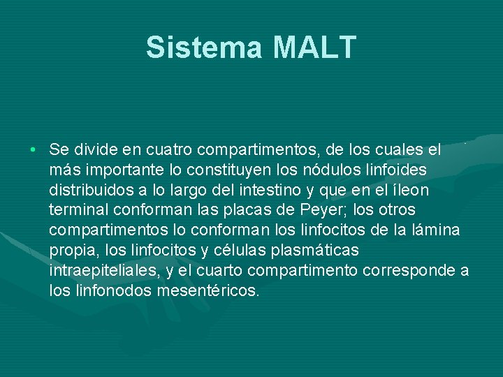 Sistema MALT • Se divide en cuatro compartimentos, de los cuales el más importante