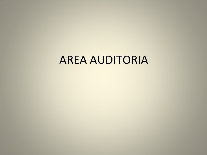 AREA AUDITORIA 
