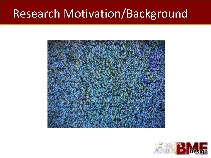 Research Motivation/Background 