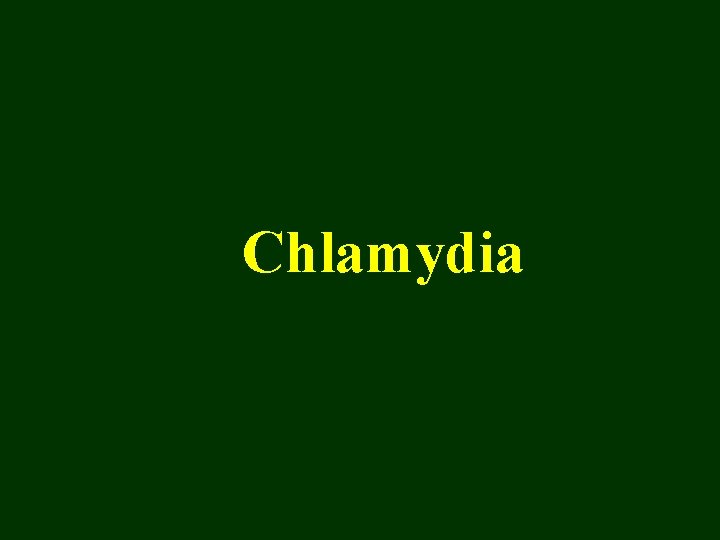 Chlamydia 
