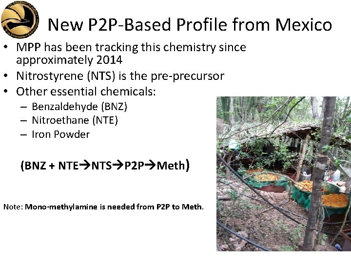 New P 2 P-Based Profile from Mexico • MPP has been tracking this chemistry