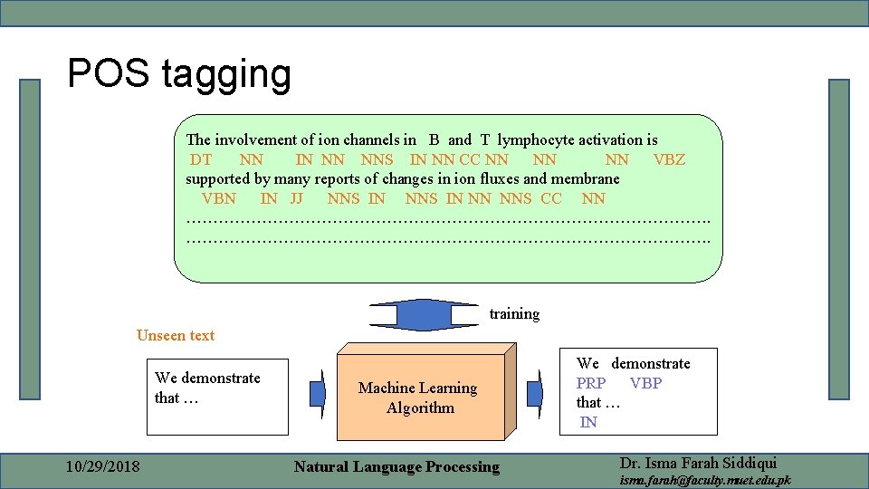 POS tagging The involvement of ion channels in B and T lymphocyte activation is