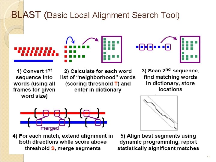 BLAST (Basic Local Alignment Search Tool) 11 