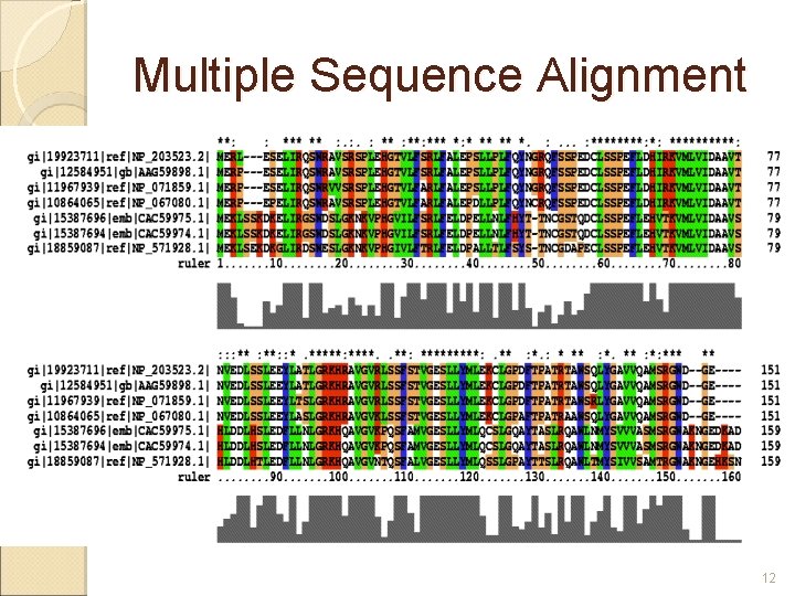 Multiple Sequence Alignment containing multiple DNA / protein sequences Look for conserved regions →