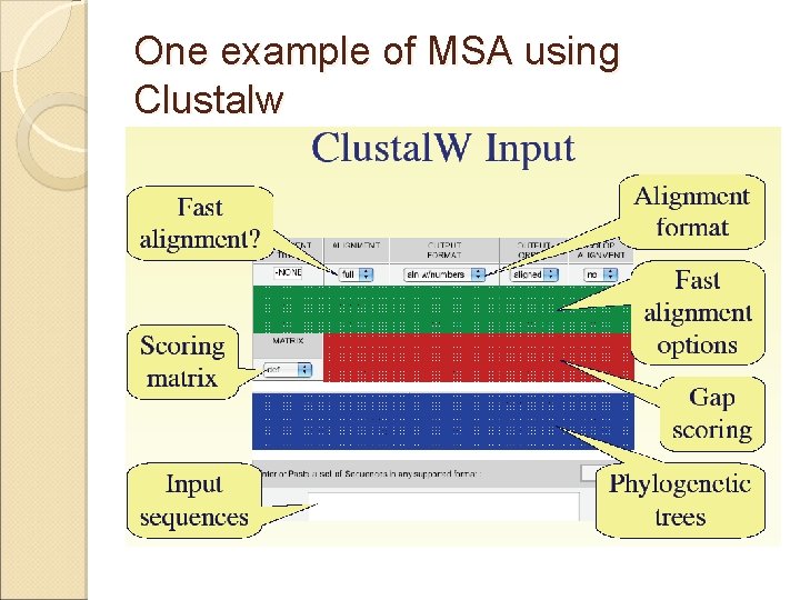 One example of MSA using Clustalw 