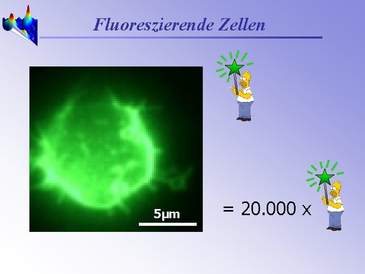 Fluoreszierende Zellen 5µm = 20. 000 x 