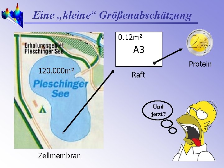 Eine „kleine“ Größenabschätzung 0. 12 m² A 3 120. 000 m² Protein Raft Und