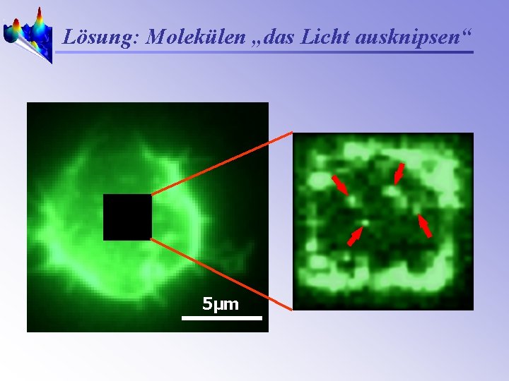 Lösung: Molekülen „das Licht ausknipsen“ 5µm 