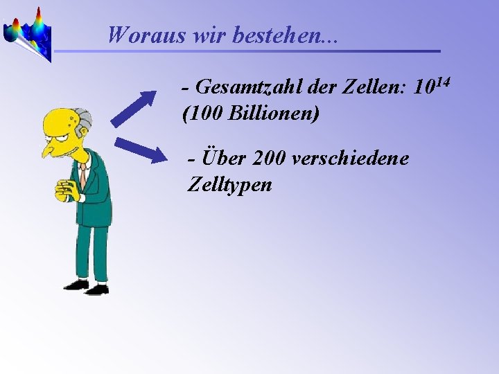 Woraus wir bestehen. . . - Gesamtzahl der Zellen: 1014 (100 Billionen) - Über