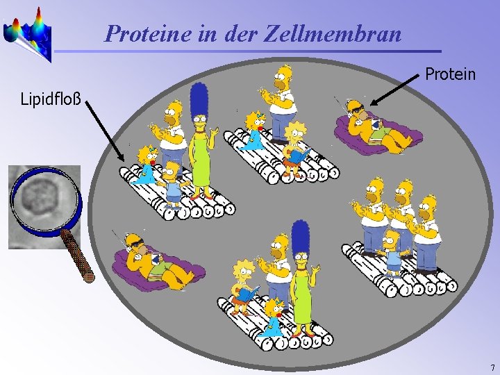 Proteine in der Zellmembran Protein Lipidfloß 7 