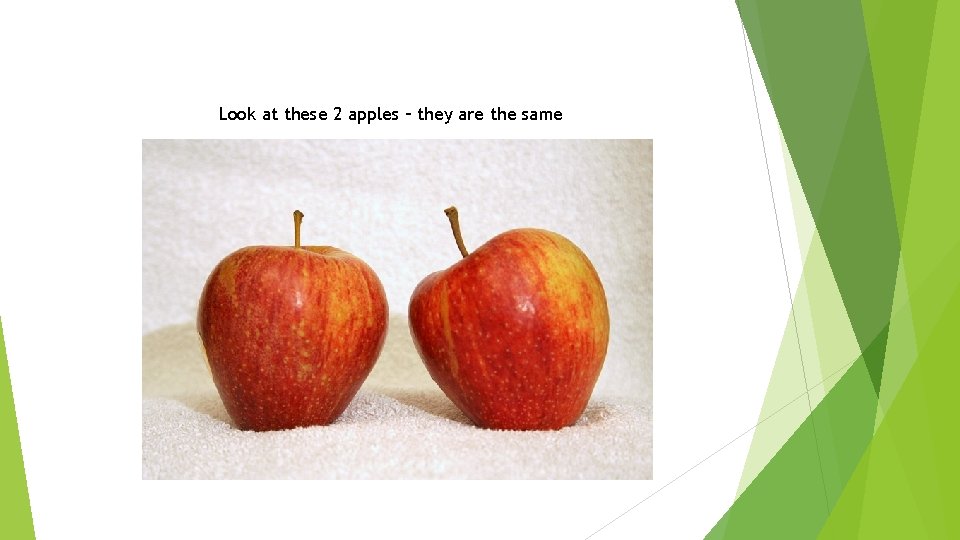 Look at these 2 apples – they are the same 