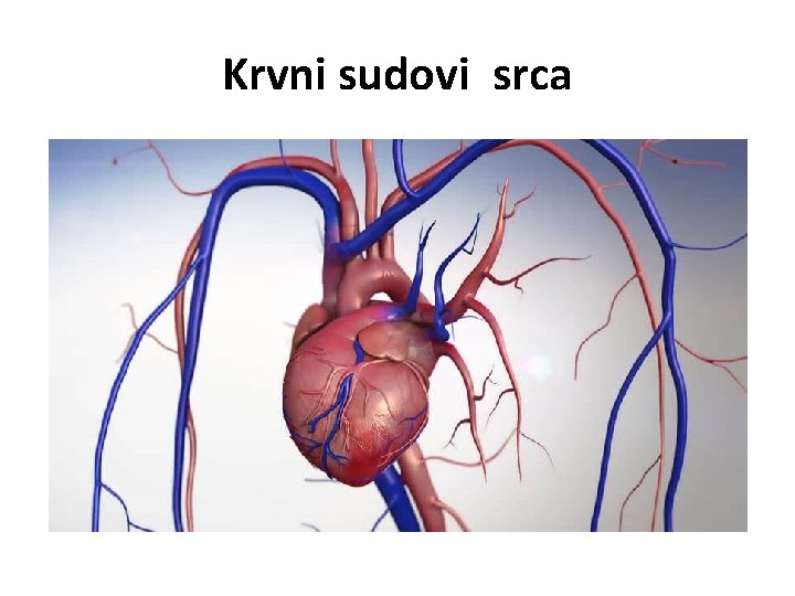 Krvni sudovi srca 