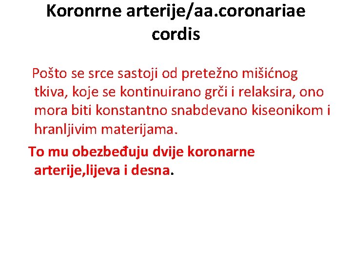 Koronrne arterije/aa. coronariae cordis Pošto se srce sastoji od pretežno mišićnog tkiva, koje se