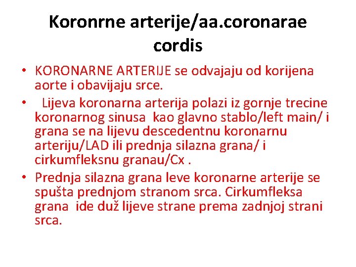 Koronrne arterije/aa. coronarae cordis • KORONARNE ARTERIJE se odvajaju od korijena aorte i obavijaju