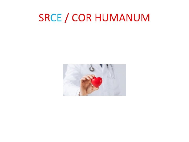 SRCE / COR HUMANUM 