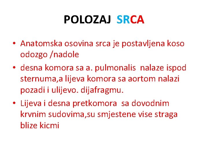 POLOZAJ SRCA • Anatomska osovina srca je postavljena koso odozgo /nadole • desna komora