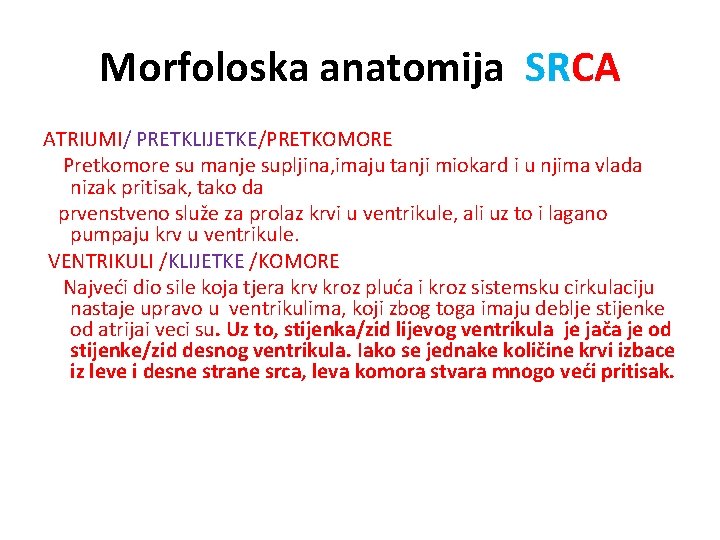 Morfoloska anatomija SRCA ATRIUMI/ PRETKLIJETKE/PRETKOMORE Pretkomore su manje supljina, imaju tanji miokard i u