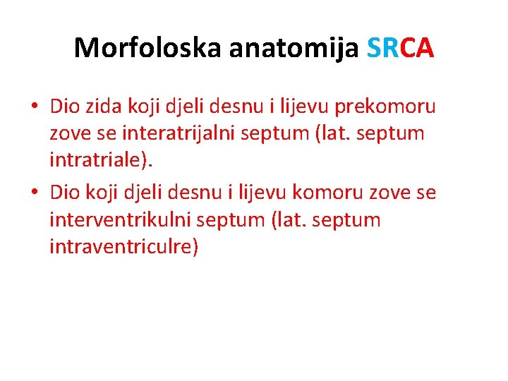 Morfoloska anatomija SRCA • Dio zida koji djeli desnu i lijevu prekomoru zove se