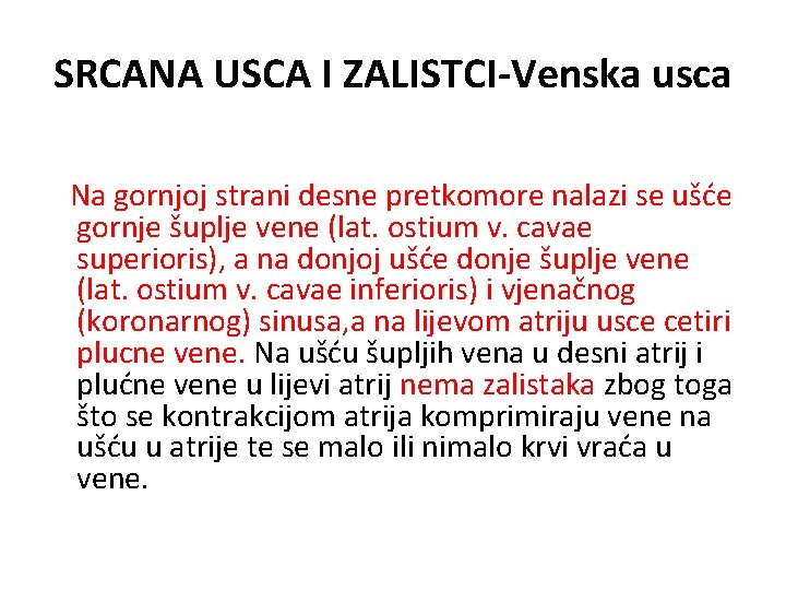 SRCANA USCA I ZALISTCI-Venska usca Na gornjoj strani desne pretkomore nalazi se ušće gornje